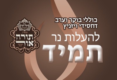 כוללי בוקר וערב דחסידי ויזניץ
